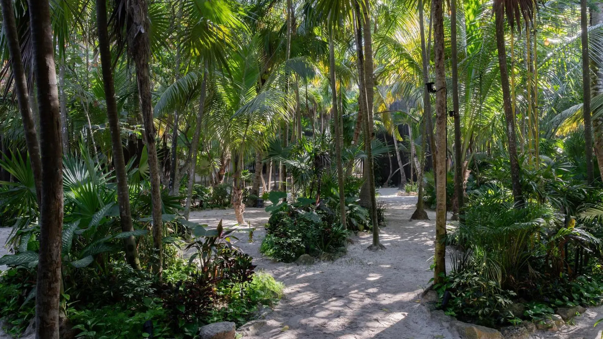 Hotel Umi Tulum 0*,  México